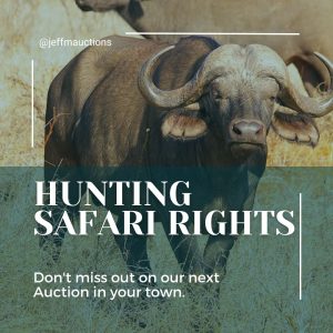 Hunting Safari Rights at JeffM Auctions Zimbabwe